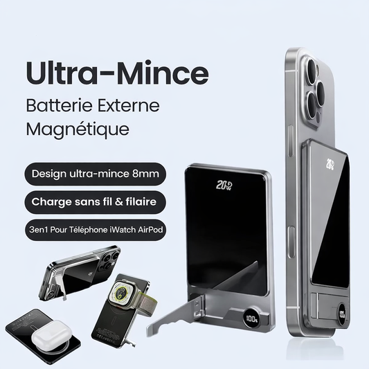 Pourquoi le Power 20 est la batterie externe idéale au quotidien